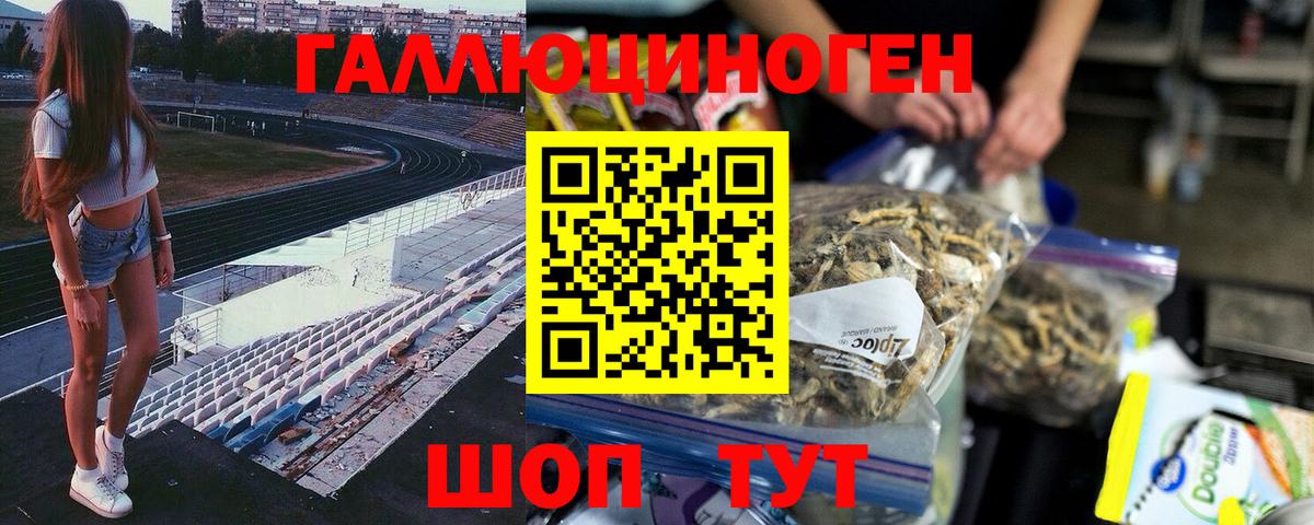 Миасс  Галлюциногенные грибы Magic Shrooms  Псилоцибиновые грибы GOLDEN TEACHER  как найти закладки  Вход с VPN 